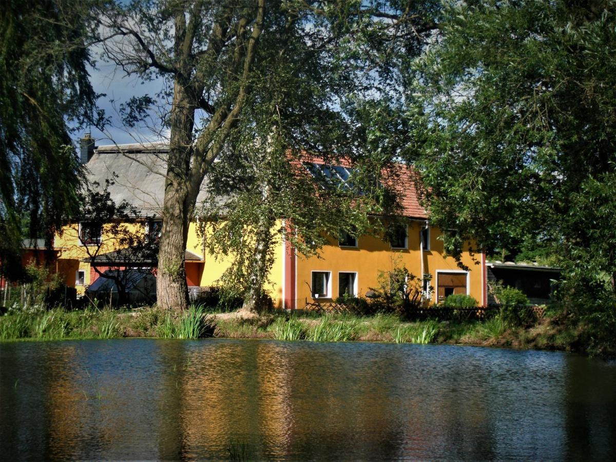Ferienhof Im Gruenen Herzen Dittersdorf Exteriér fotografie